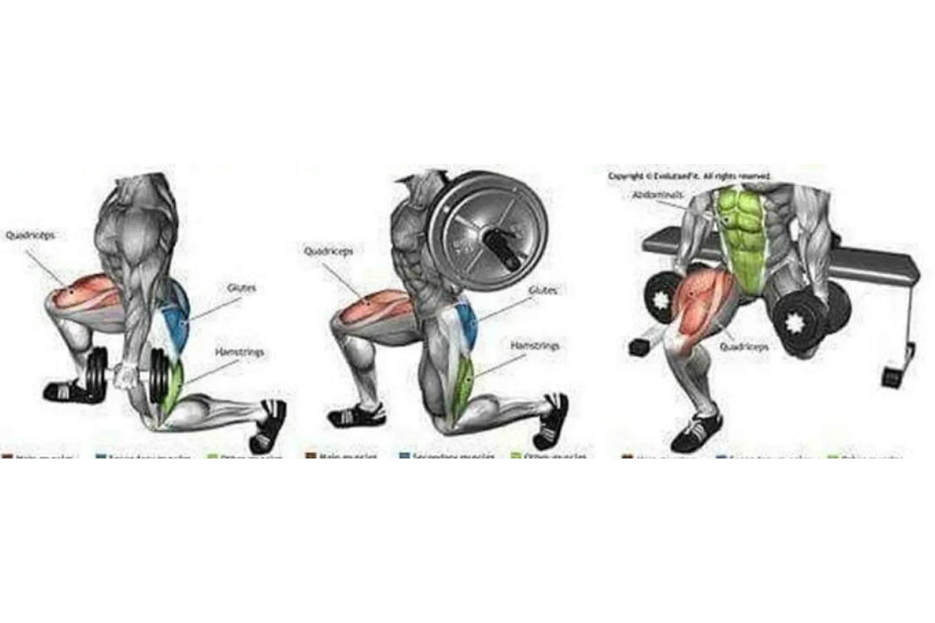[Sigh Energy] Ultimate Legs Day Workout 2.0 11x  (Extra Stronger)