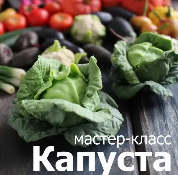 Лепка из полимерной глины Капуста (Кристина Орловская)