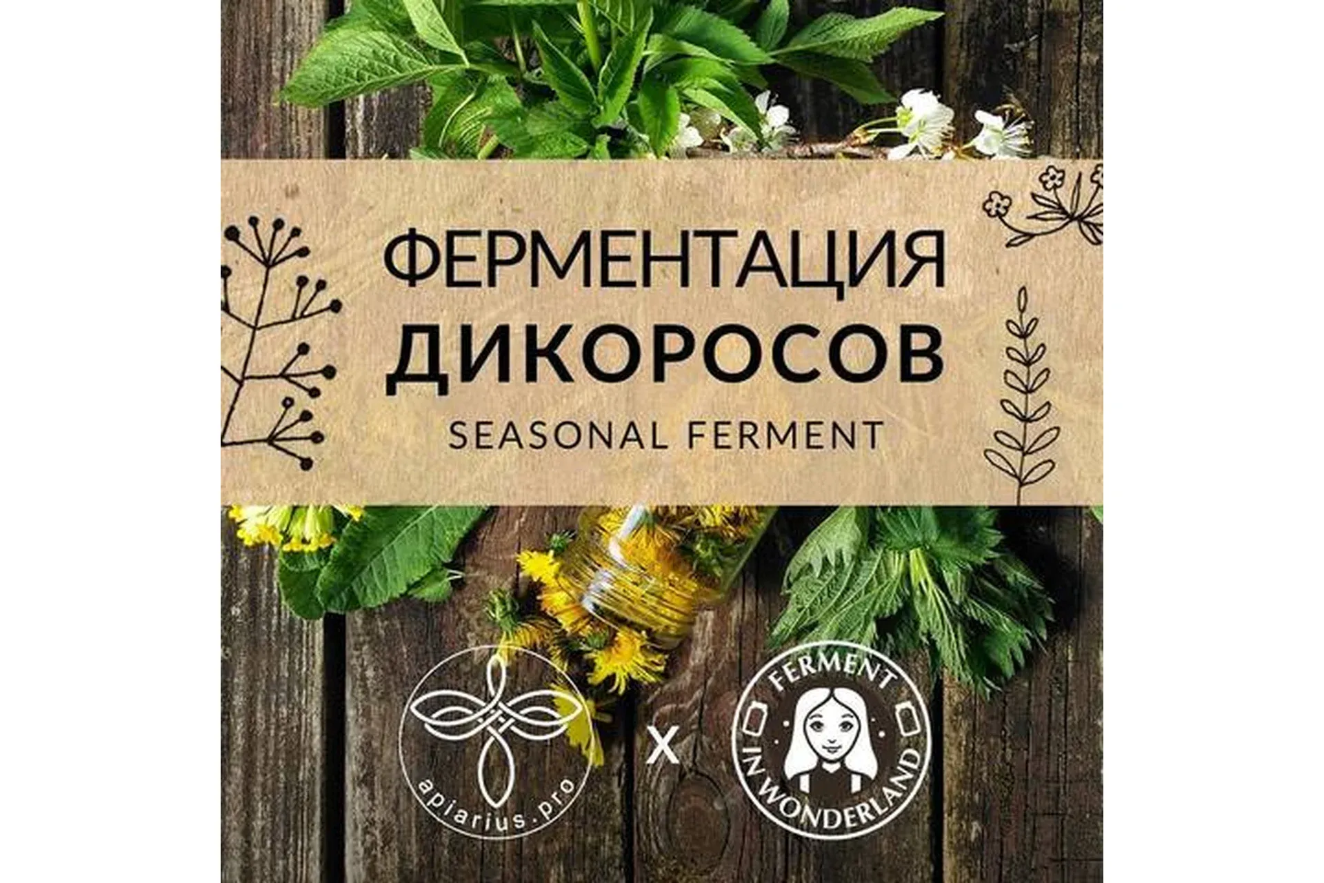 [Ferment in wonderland] Ферментация дикоросов (Ольга Думкина)