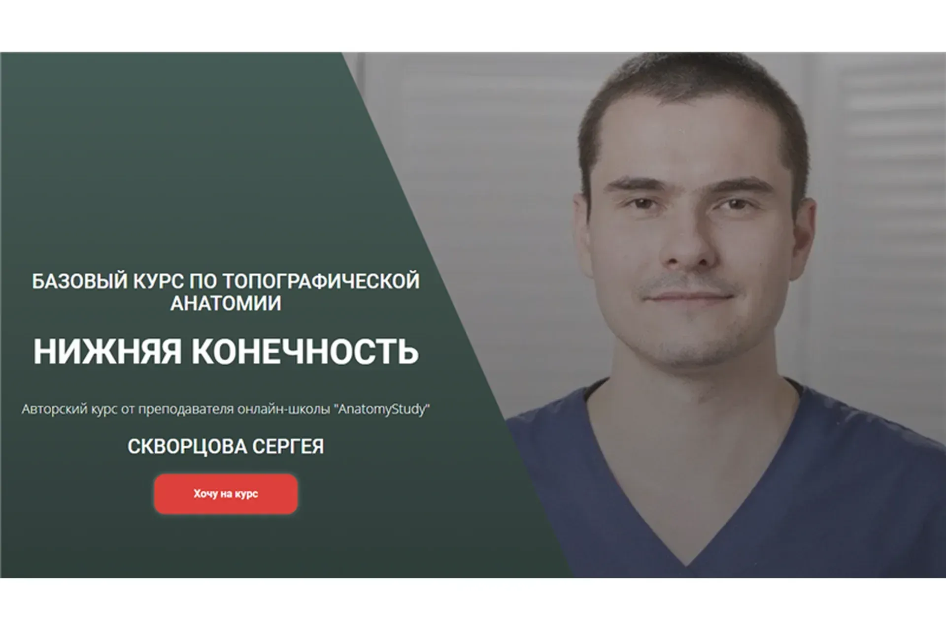 [Анатомия] Базовый курс по топографической анатомии. Нижняя конечность (Сергей Скворцов)