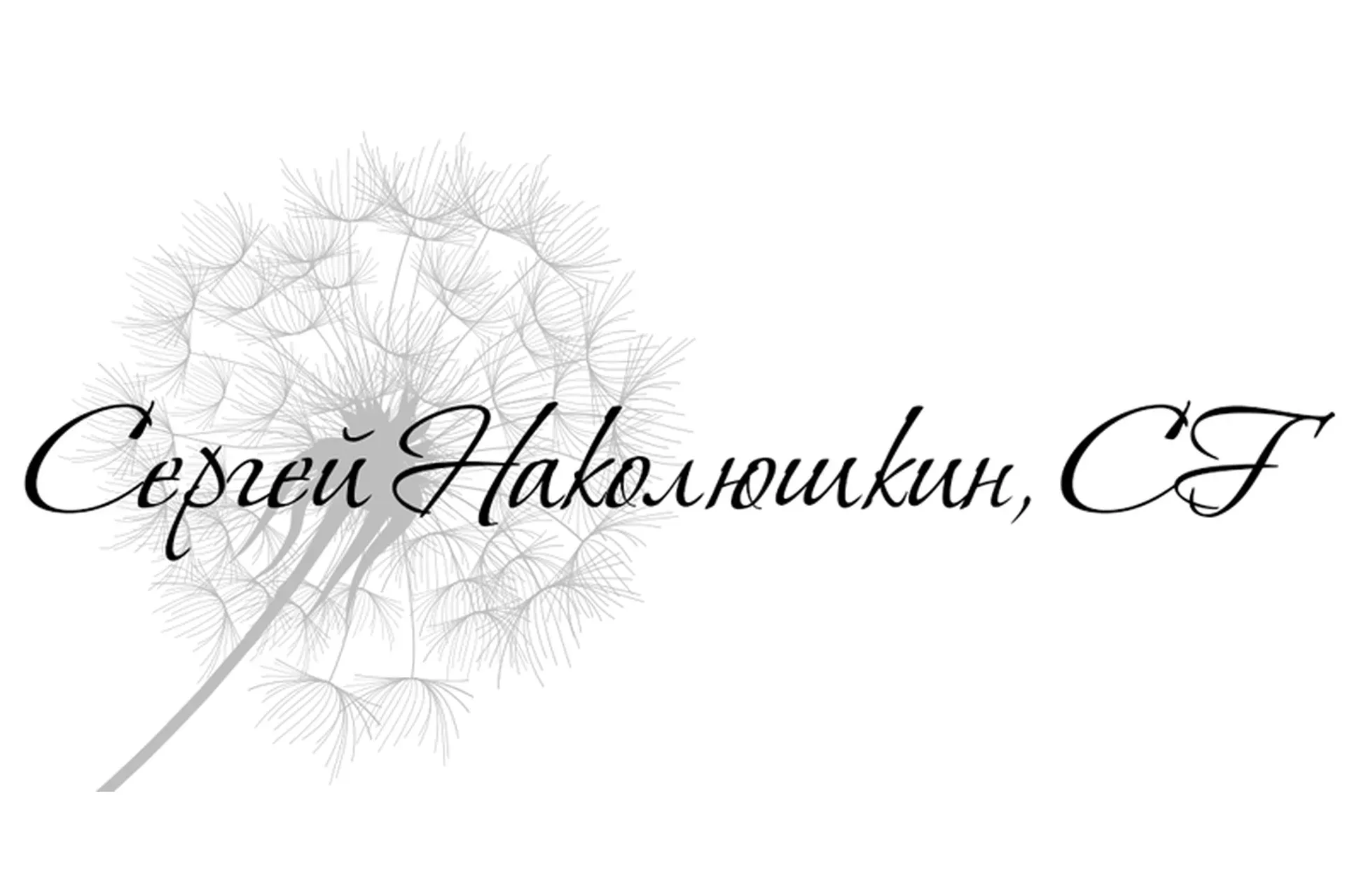 Интересная точка зрения (Сергей Наколюшкин)