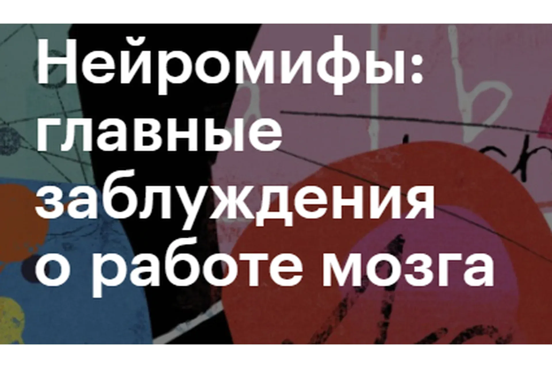 [Level One] Нейромифы: главные заблуждения о работе мозга (Вера Толченникова)