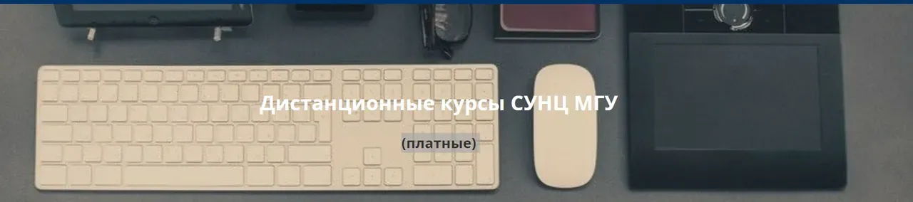 [СУНЦ МГУ] Олимпиадная математика для младших школьников. 3 класс, 1 семестр (Виктория Журавлева)