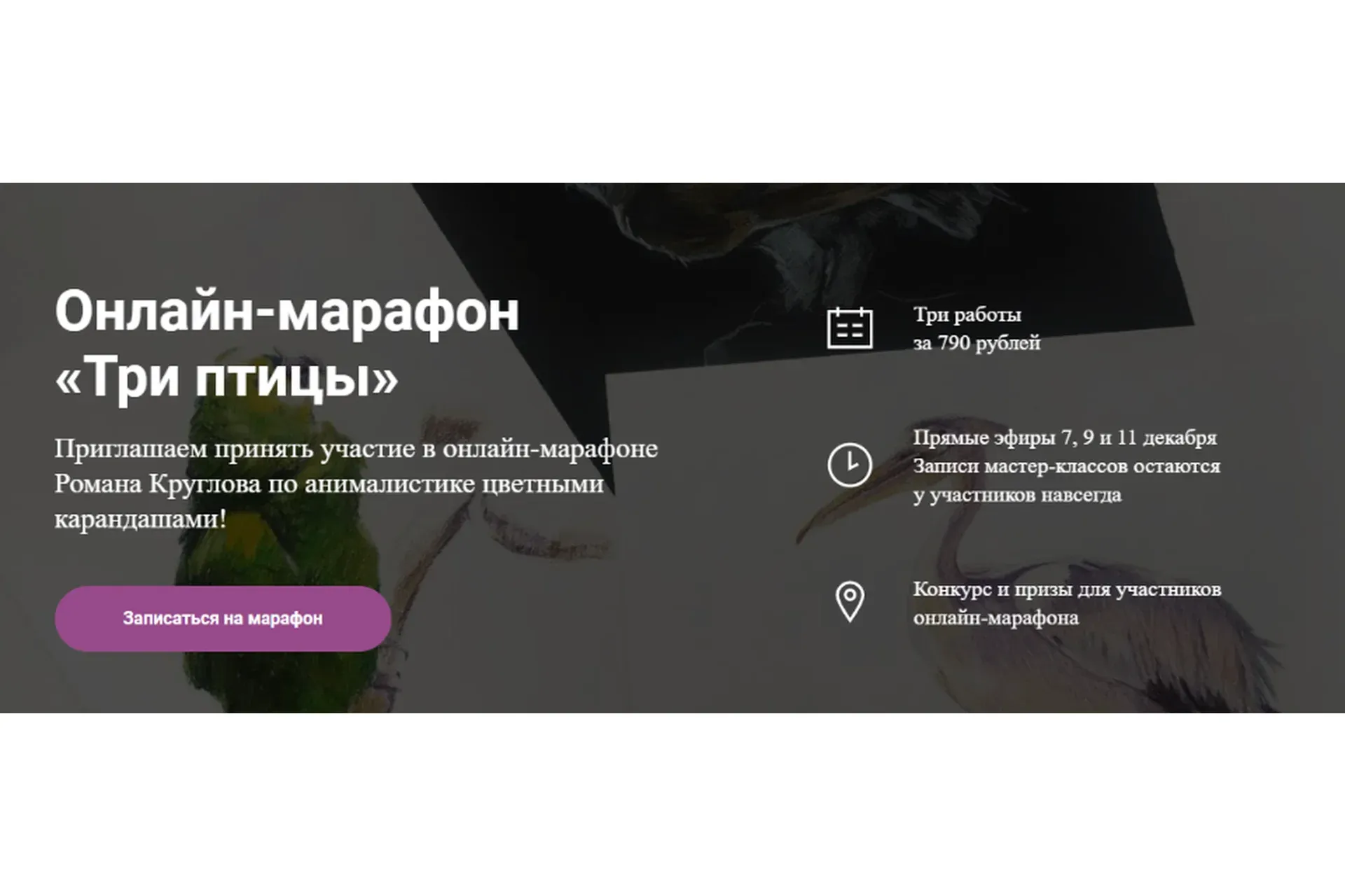 [Художник Online] Онлайн-марафон «Три птицы» (Роман Круглов)