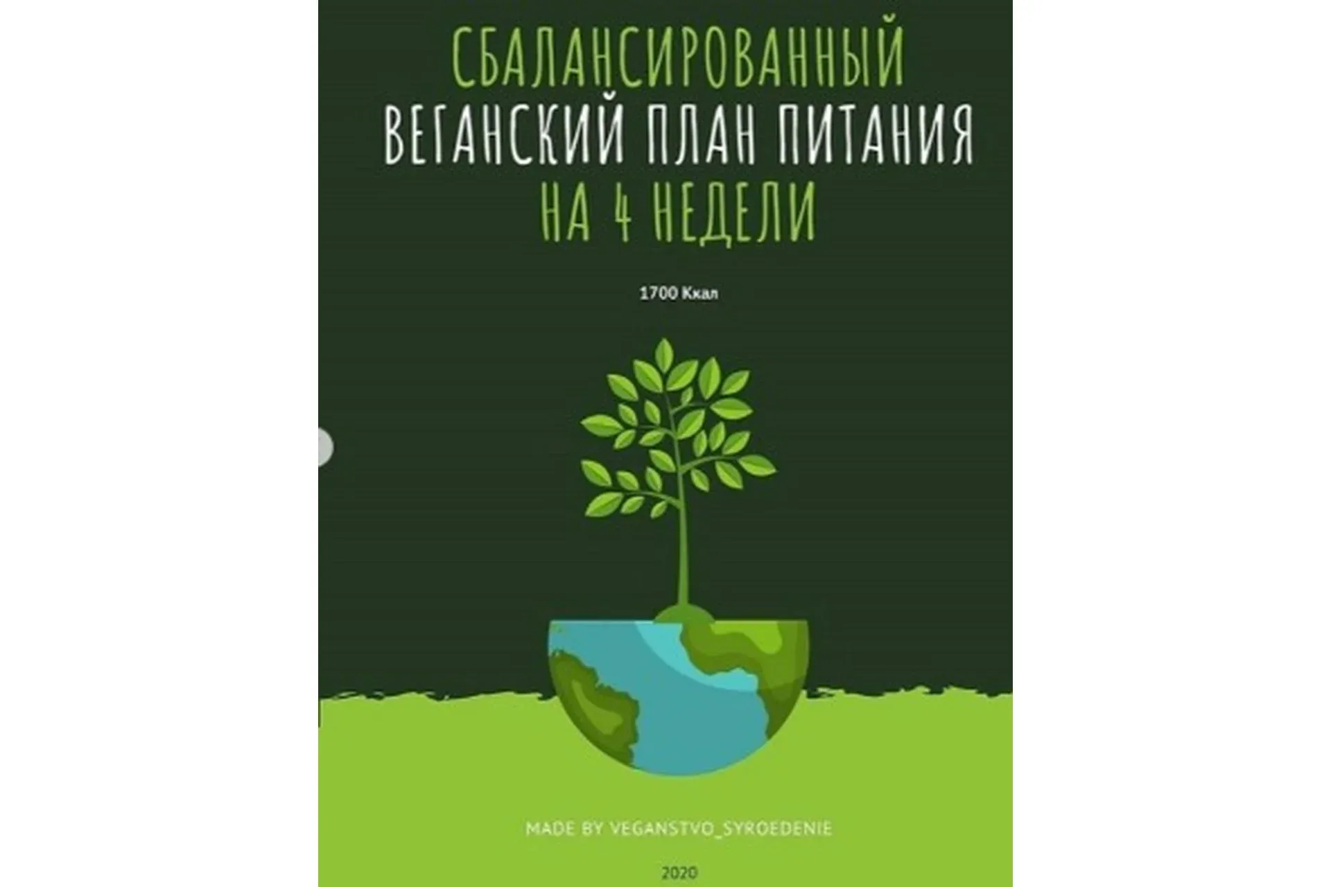 Сбалансированный веганский план питания на 4 недели (veganstvo_syroedenie)