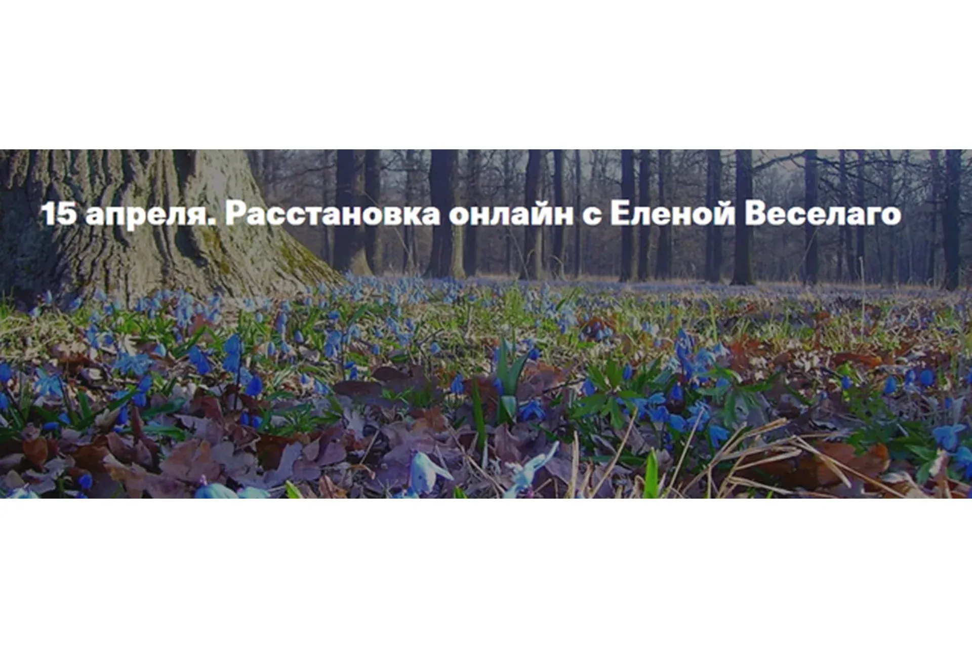 15 апреля. Расстановка онлайн (Елена Веселаго)