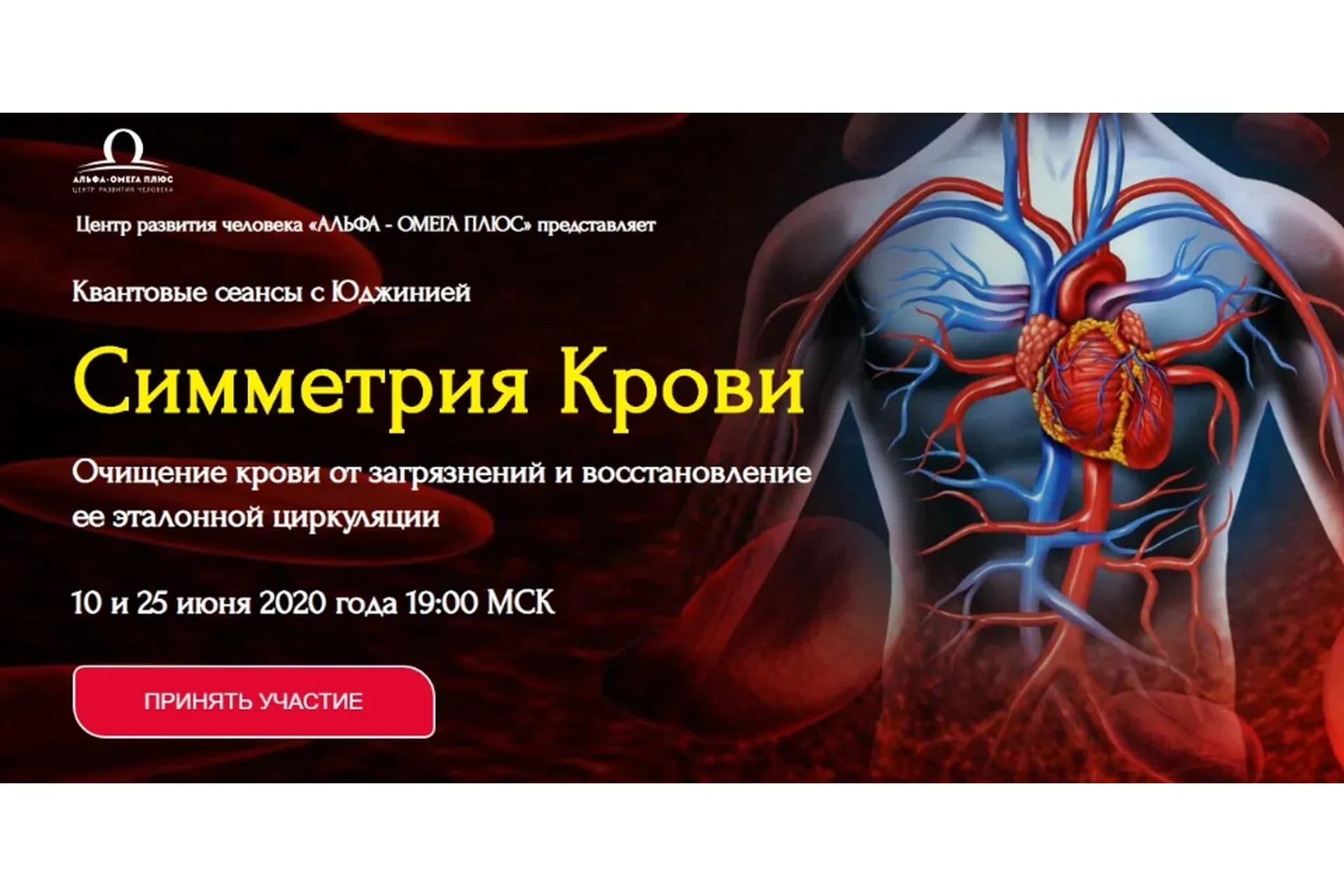 [Альфа-Омега Плюс] Симметрия крови (Юджиния Квант)