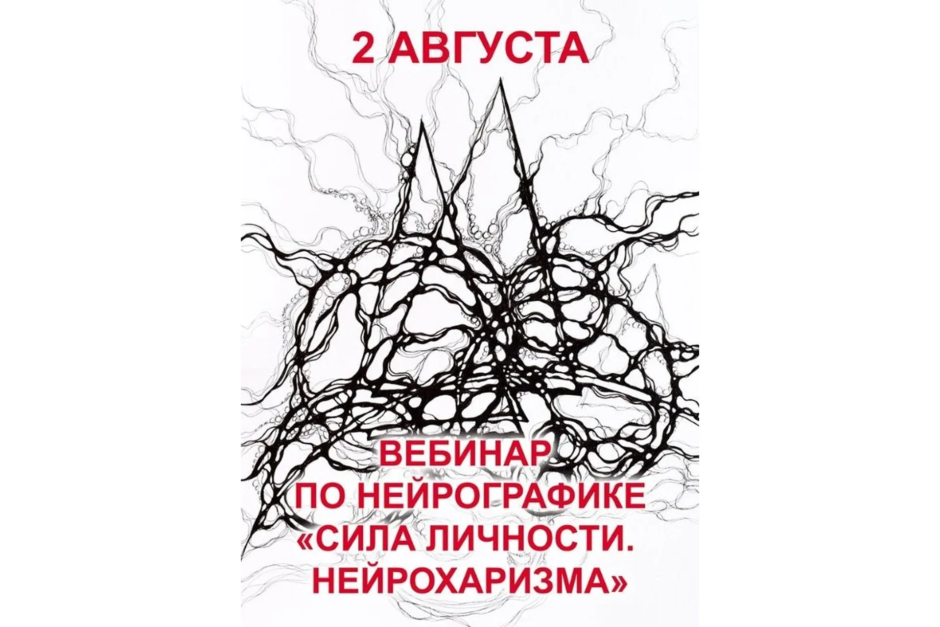 Сила личности. Нейрохоризма (Людмила Коструб)