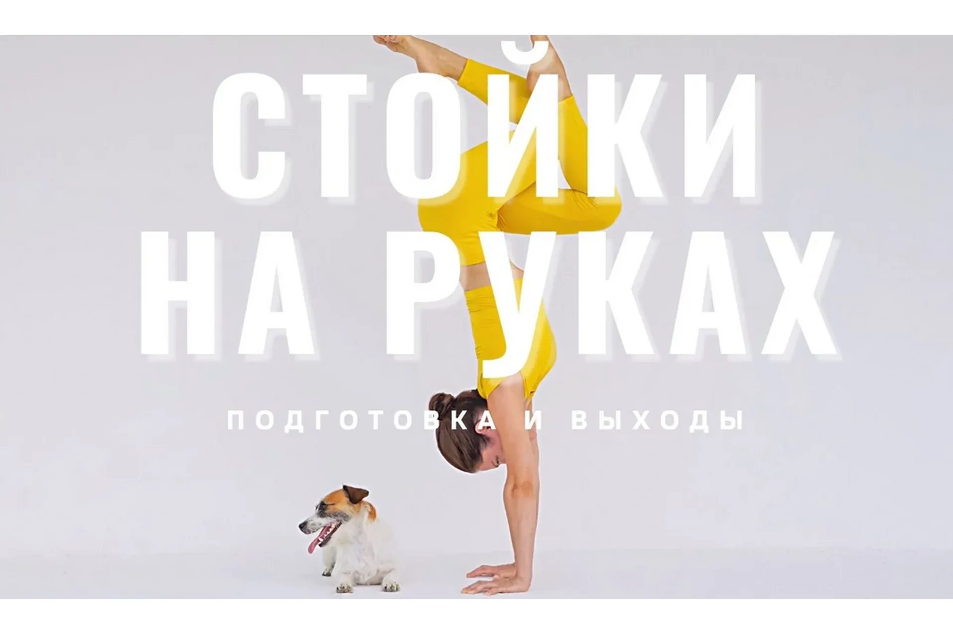 Стойки на руках: от нуля. Подготовка и выходы + Подготовка рук к стойкам (Евгения Токц)