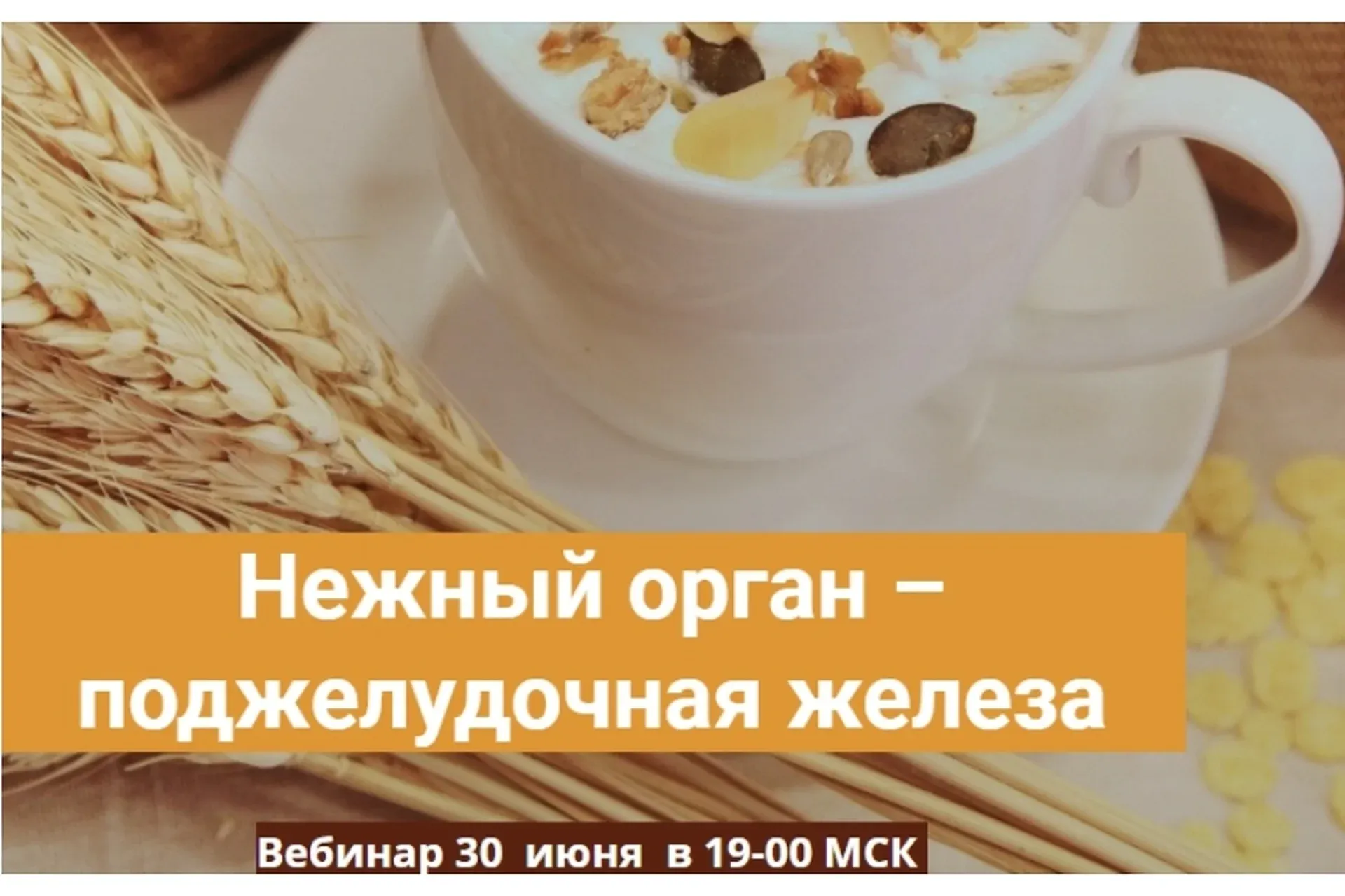 Нежный орган - поджелудочная железа (Александра Фомина)