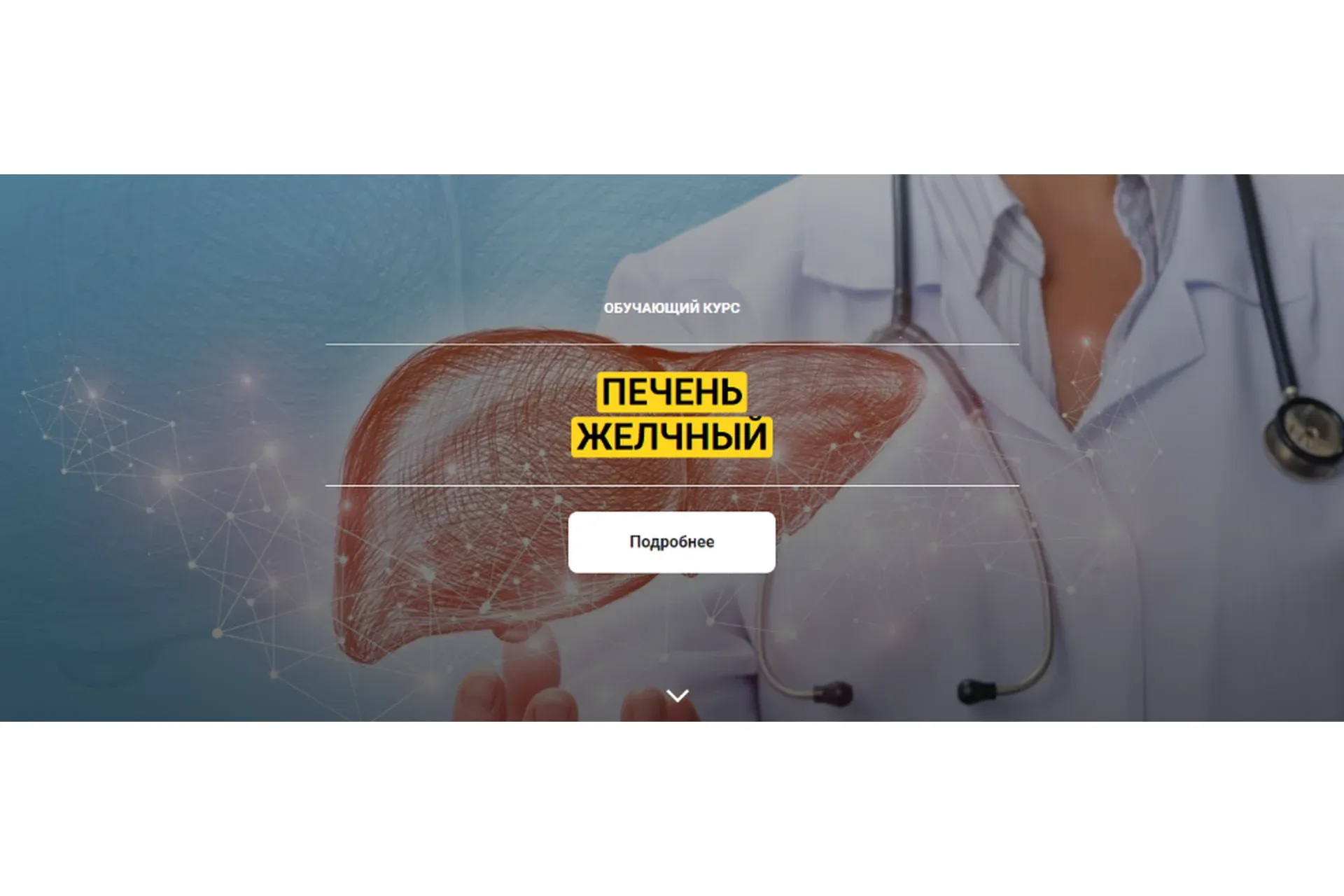 [Архитектура тела] Желчный. Печень (Оксана Бердичевская)