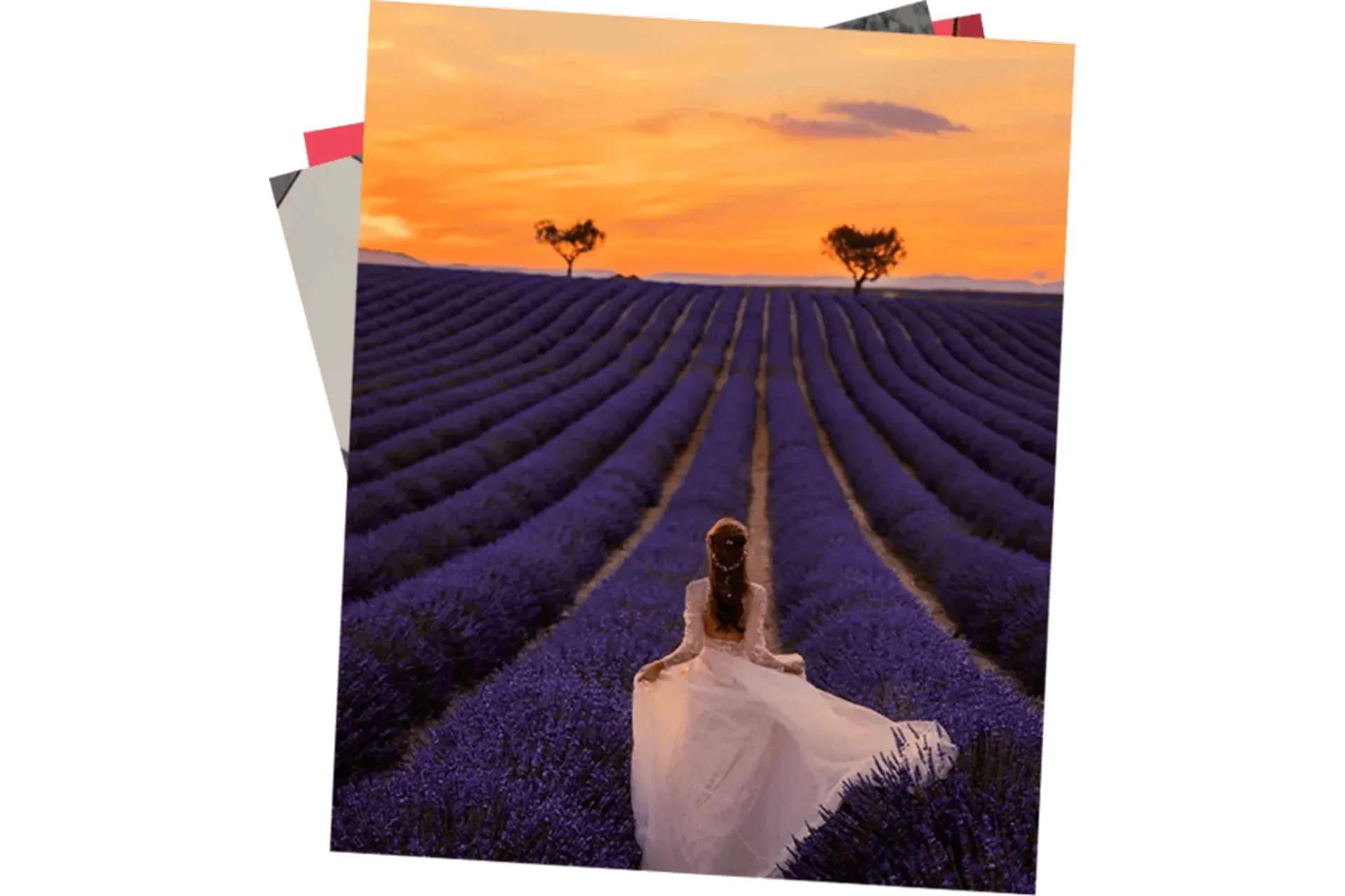 Photoshop_1М (Дарья Булавина)