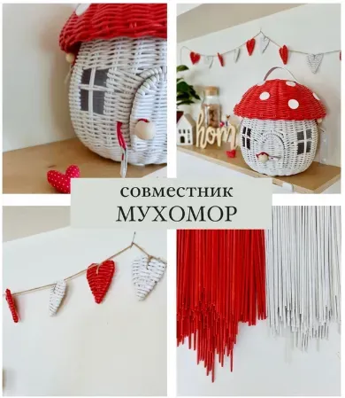 Совместник Мухомор (Олеся Васылив)