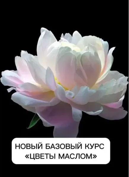 Цветы маслом (Виталий Антипин)
