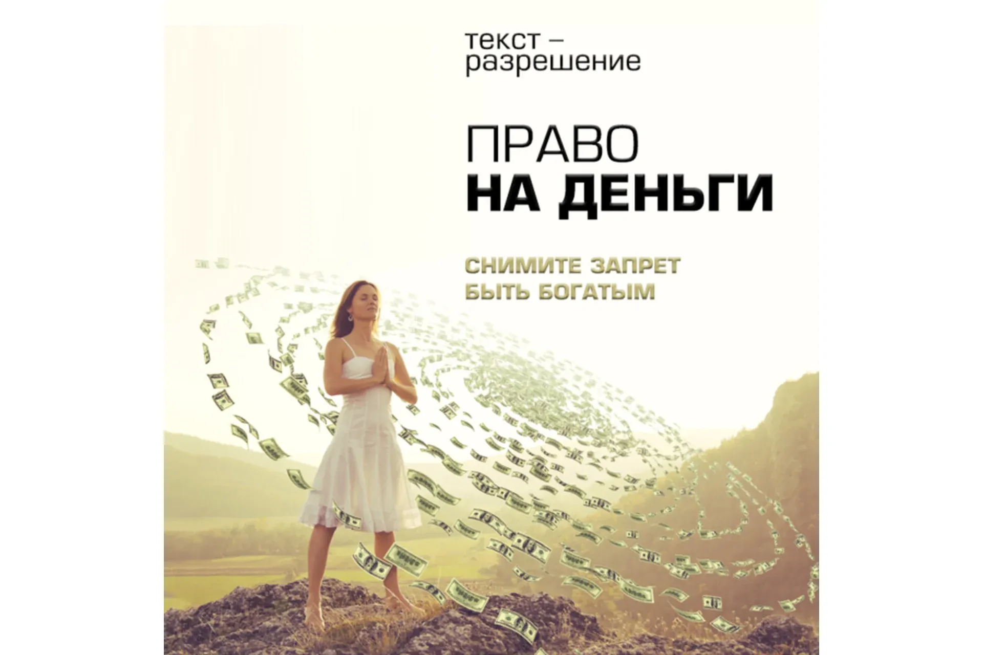 Право на деньги (Леонид Каюм)