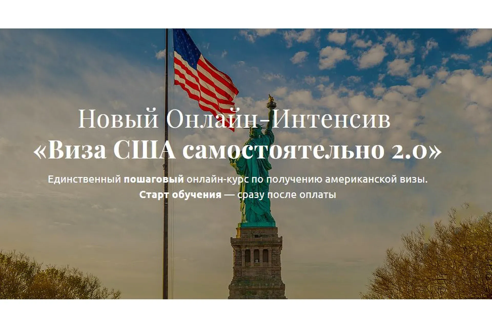 Виза США самостоятельно 2.0 (Анатолий Власов)