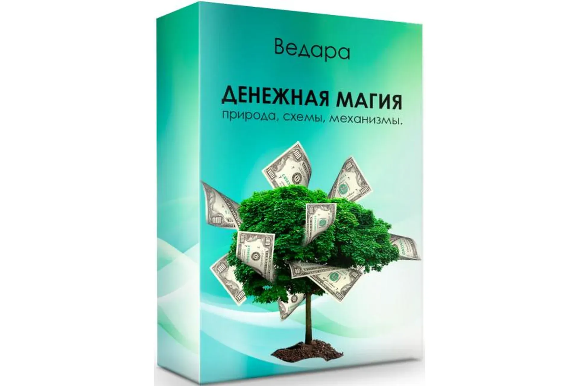 Денежная магия 2020 (Елена Ведара)