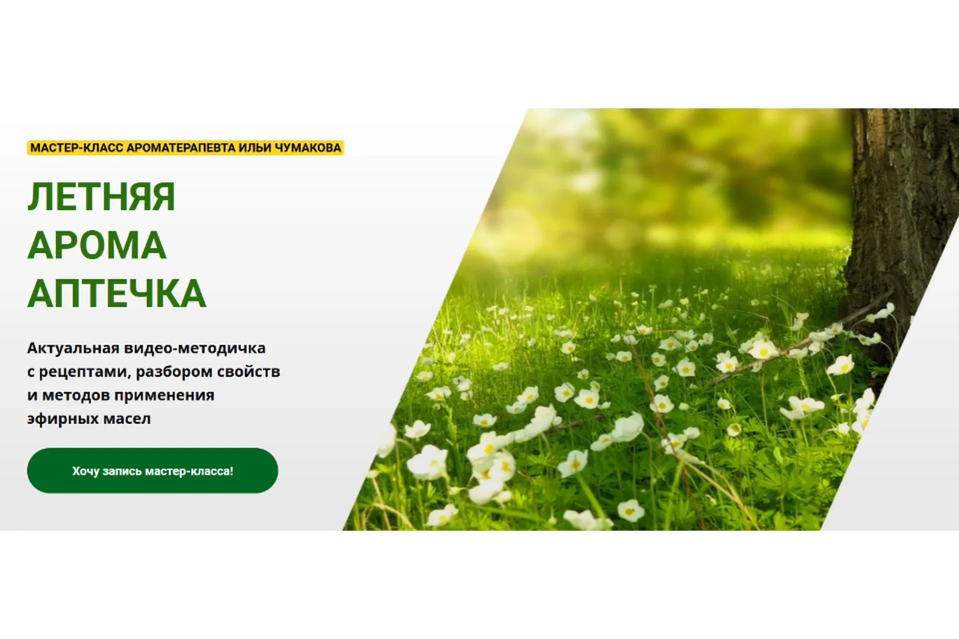 [АромаВита] Летняя аромааптечка (Илья Чумаков)