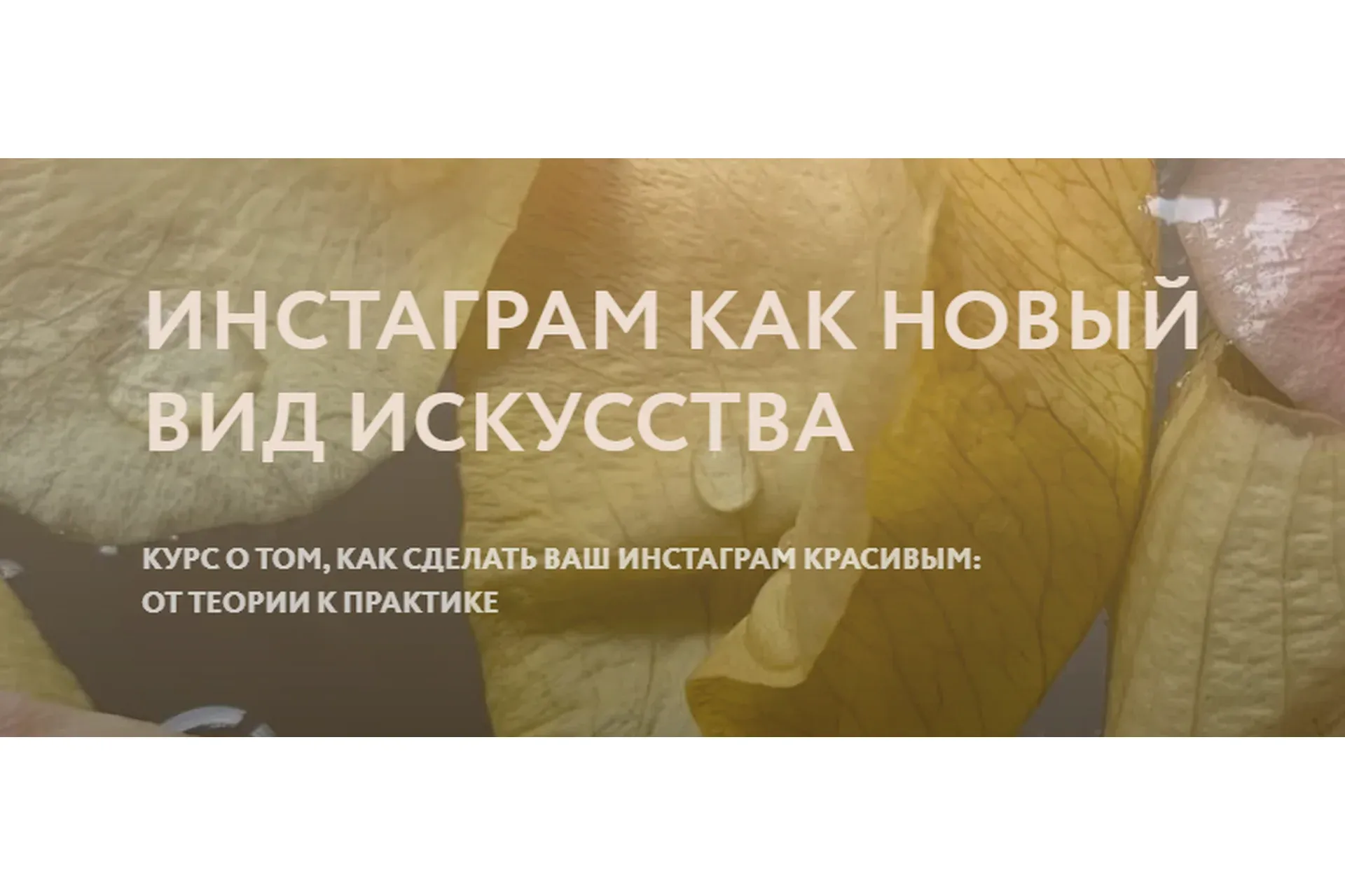 Инстаграм как новый вид  искусства. Тариф Эконом (Полина Дзенис)