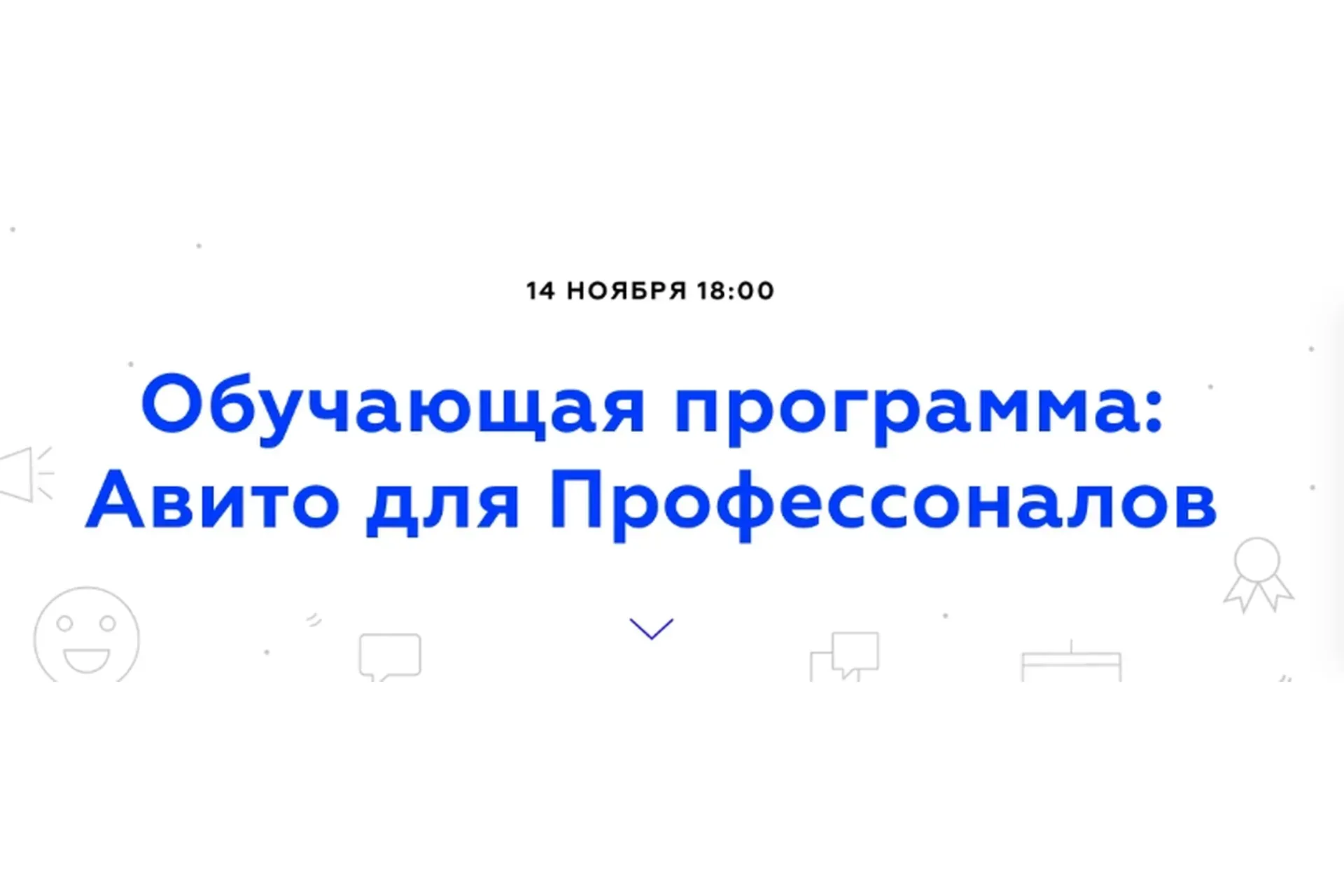 Авито для Профессоналов (Тимур Евлоев)