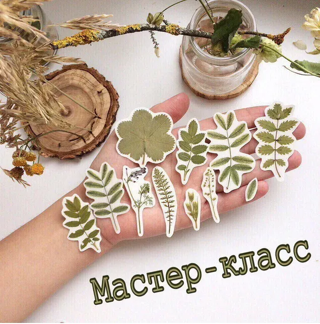 [Декор] МК по созданию наклеек из гербария (live_box_)