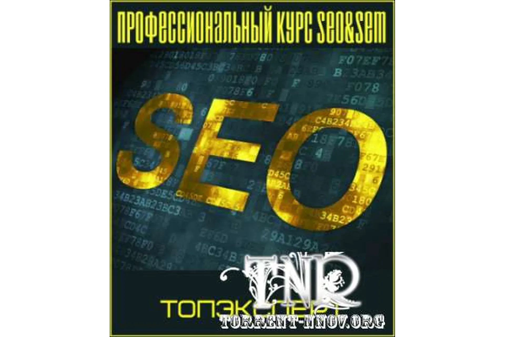 [ТопЭксперт] Профессиональный курс SEO&SEM