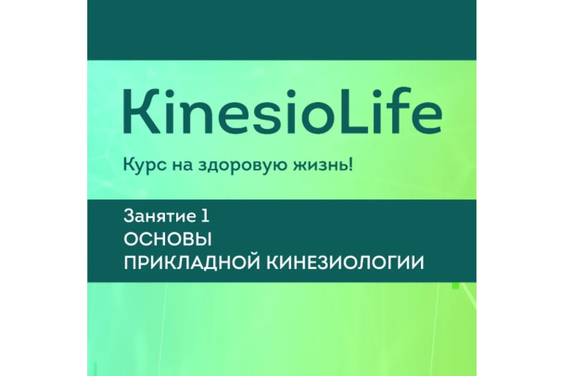 [KinesioLife] Семинар 1. Основы прикладной кинезиологии (Людмила Васильева)