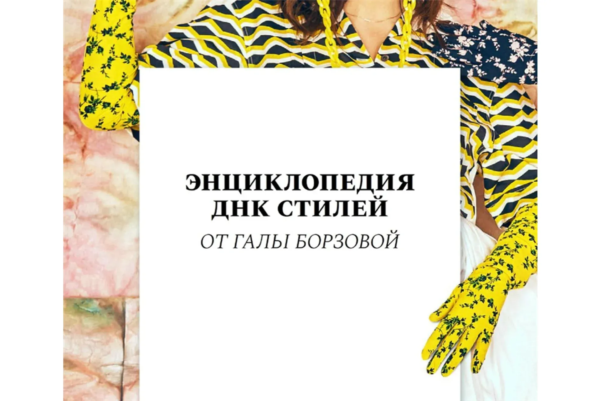 Энциклопедия ДНК стилей (Гала Борзова)