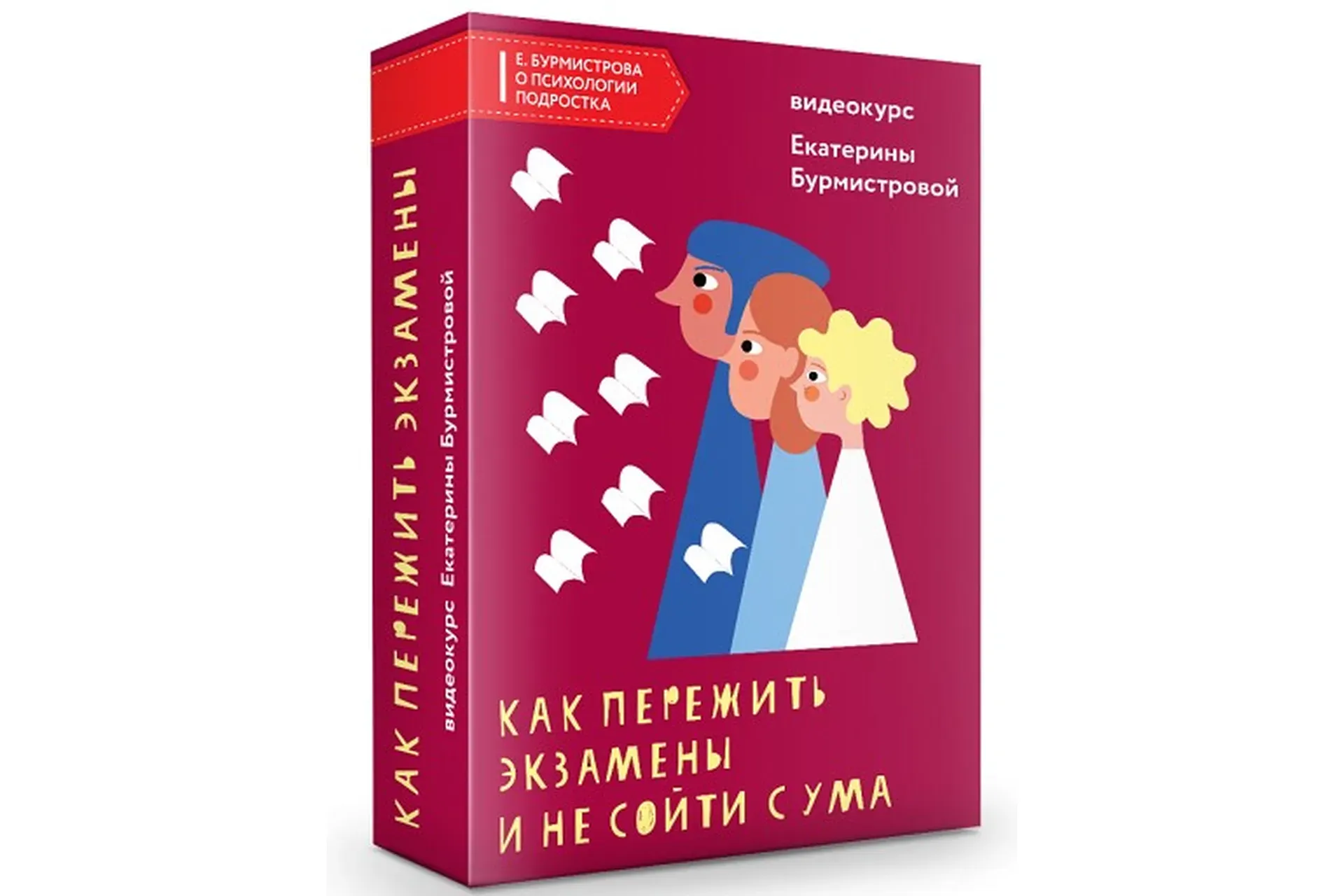 Как пережить экзамены подростка и не сойти с ума (Екатерина Бурмистрова)