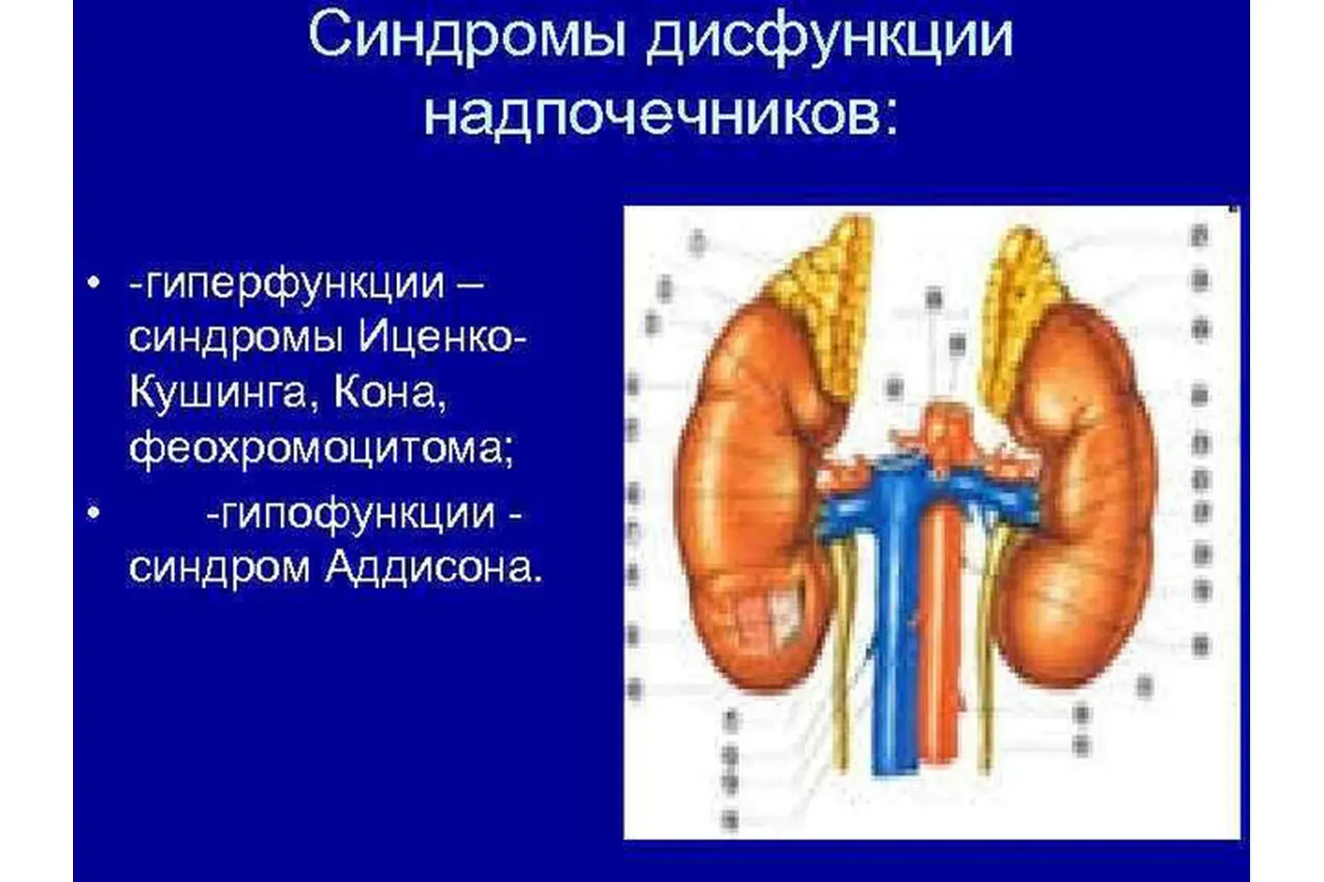 Диагностика субклинической дисфункции надпочечников (Катя Янг)