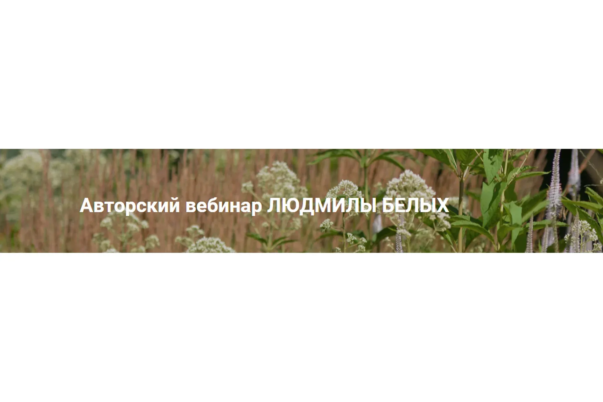 [Школа Современного Ландшафта] Растительный дизайн. Все о работе с древесными (Людмила Белых)