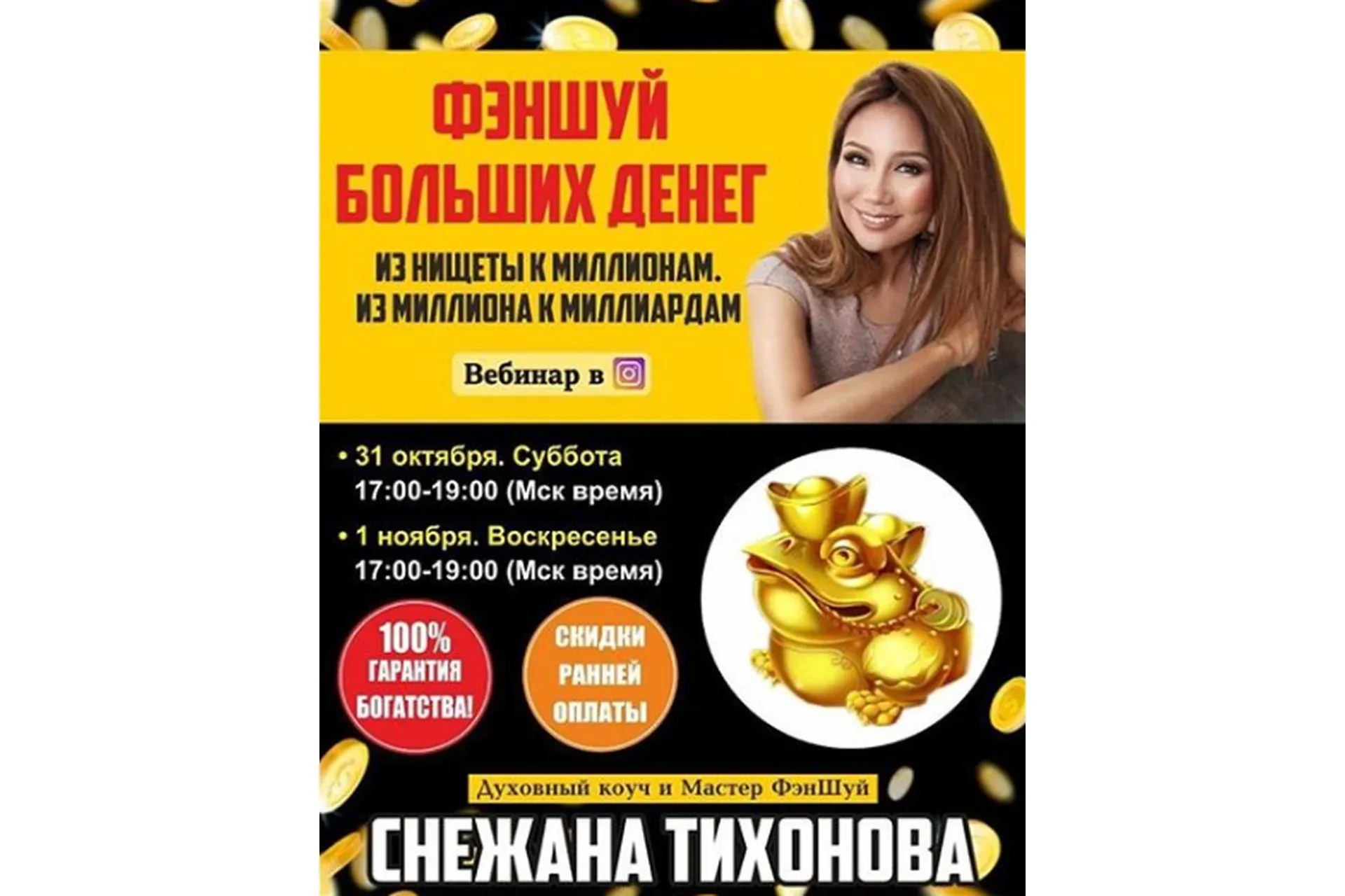 Фэн-шуй больших денег. Пакет - Базовый (Снежана Тихонова)