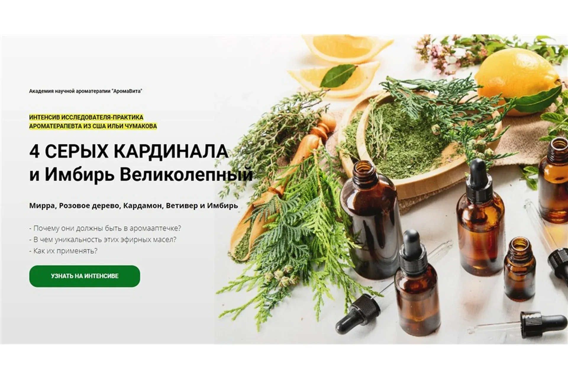 [Академия научной ароматерапии] 4 серых кардинала и имбирь великолепный (Илья Чумаков)