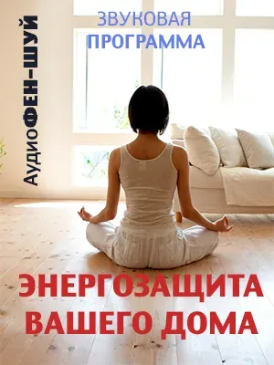 Энергозащита Вашего Дома (Леонид Каюм)