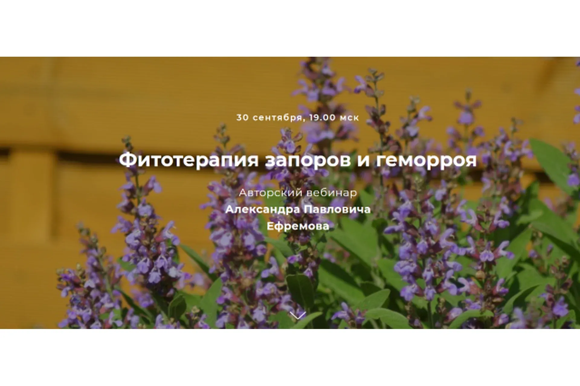 [FestTrav] Фитотерапия запоров и геморроя (Александр Ефремов)