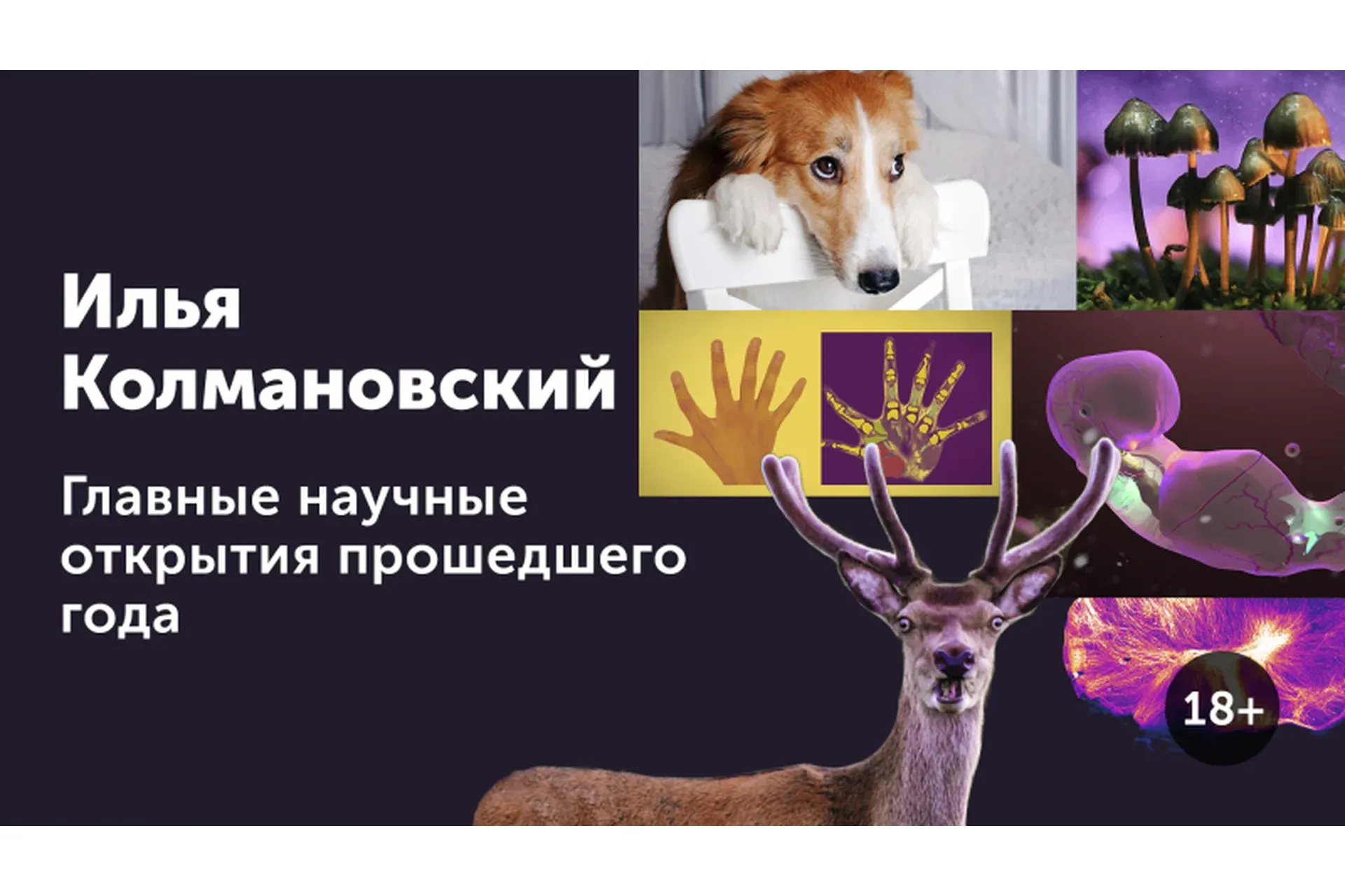 Главные научные открытия прошедшего года 18+ (Илья Колмановский)