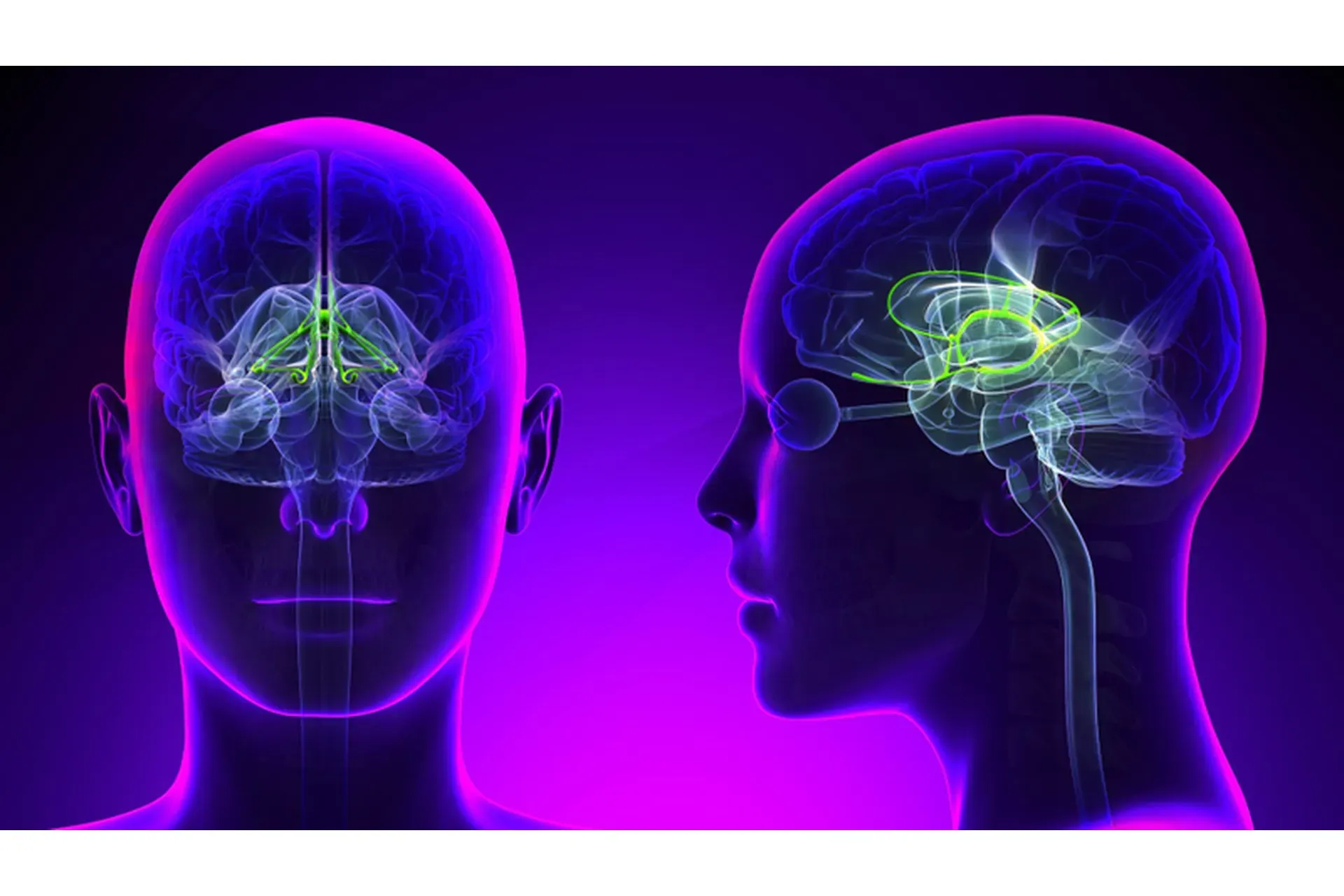 [Sapien Medicine] The brain massage soundscape. Звуковой ландшафт массажа мозга