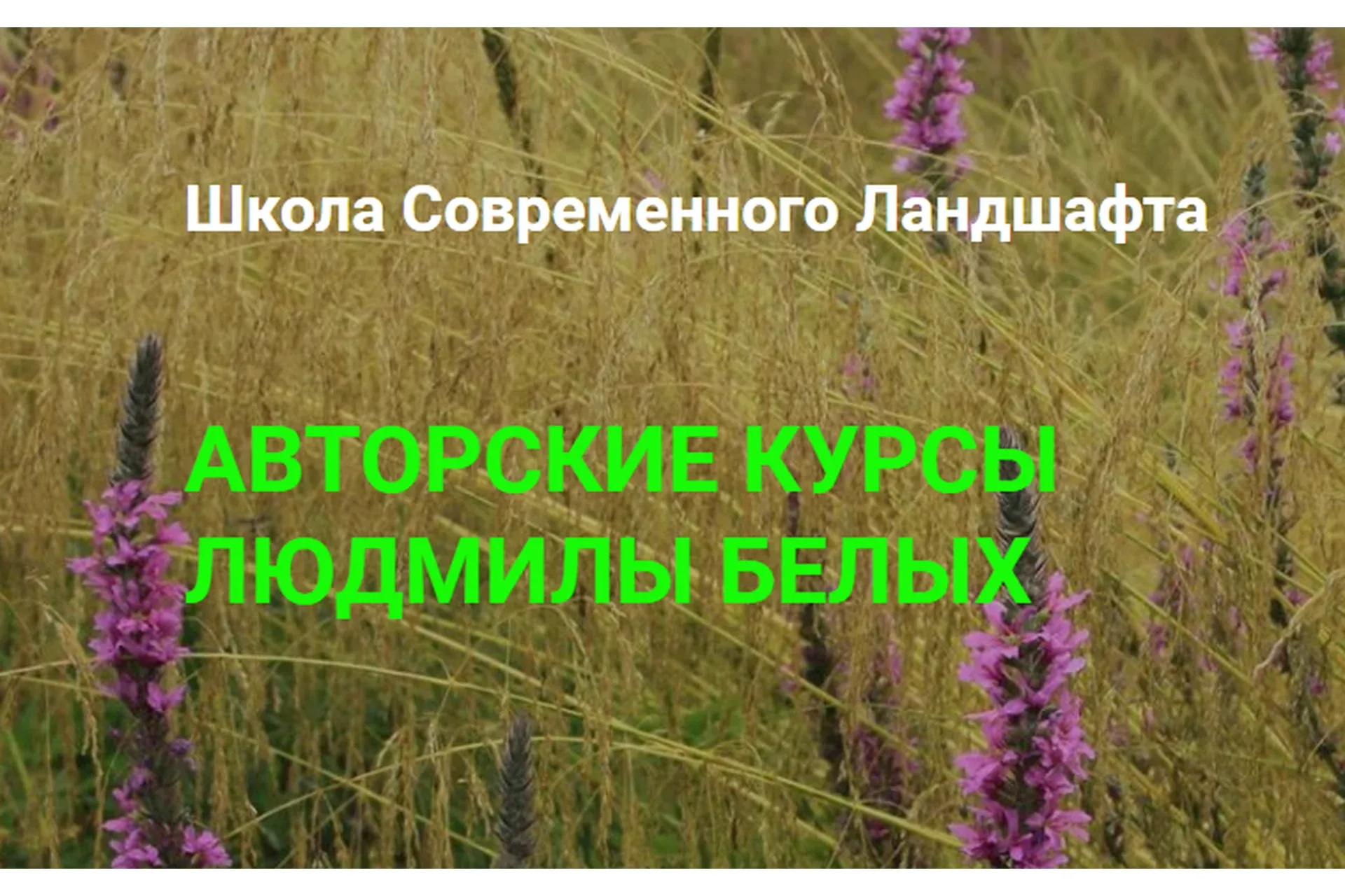 [Школа Современного Ландшафта] Сад в тени (Людмила Белых)