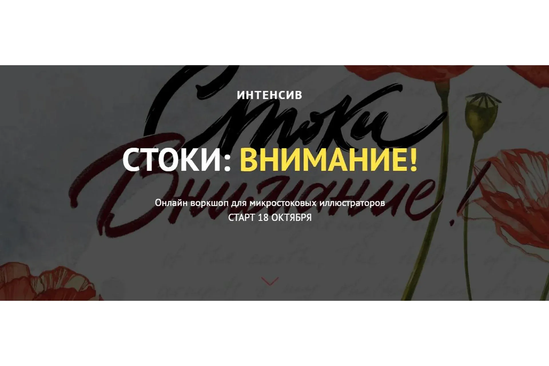 [Astro Ann] Стоки: внимание! Вариант без разбора работ (Анна Асетрова)