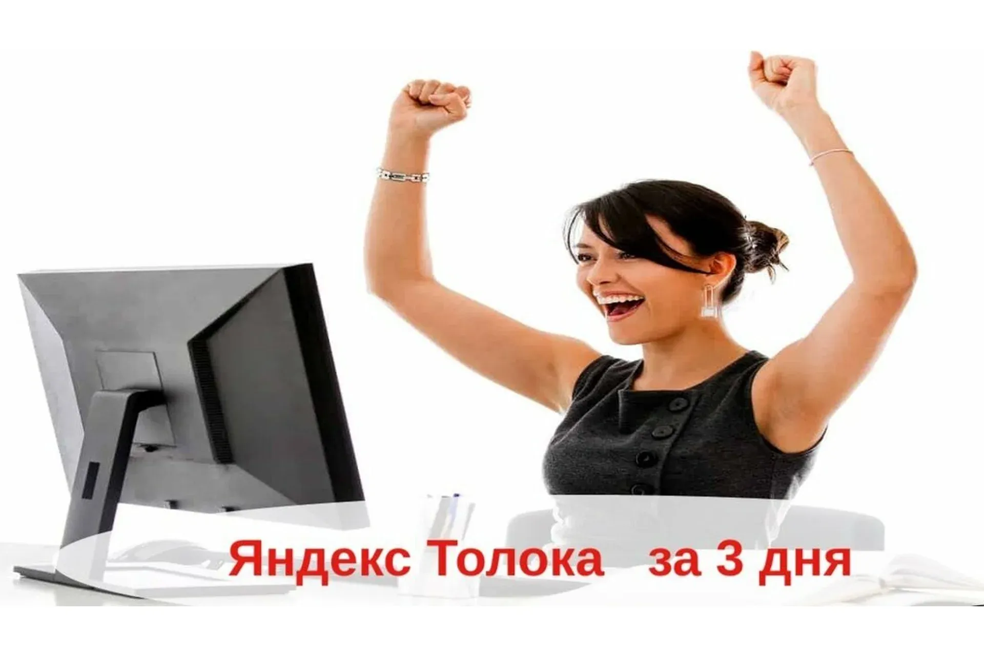 Яндекс Толока за 3 дня (Александр Бессонов)