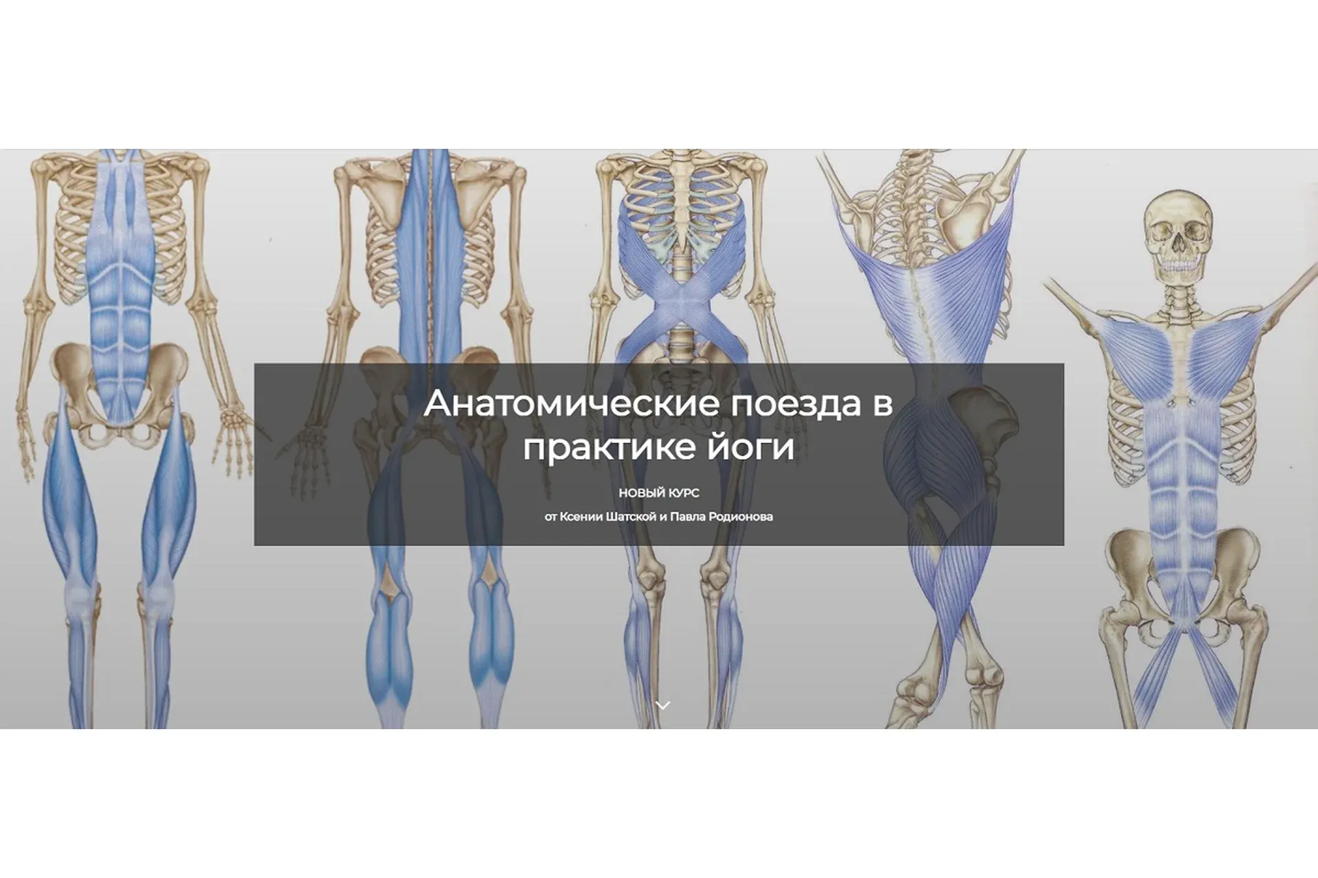 [Basebody] Анатомические поезда в практике йоги (Ксения Шатская, Павел Родионов)
