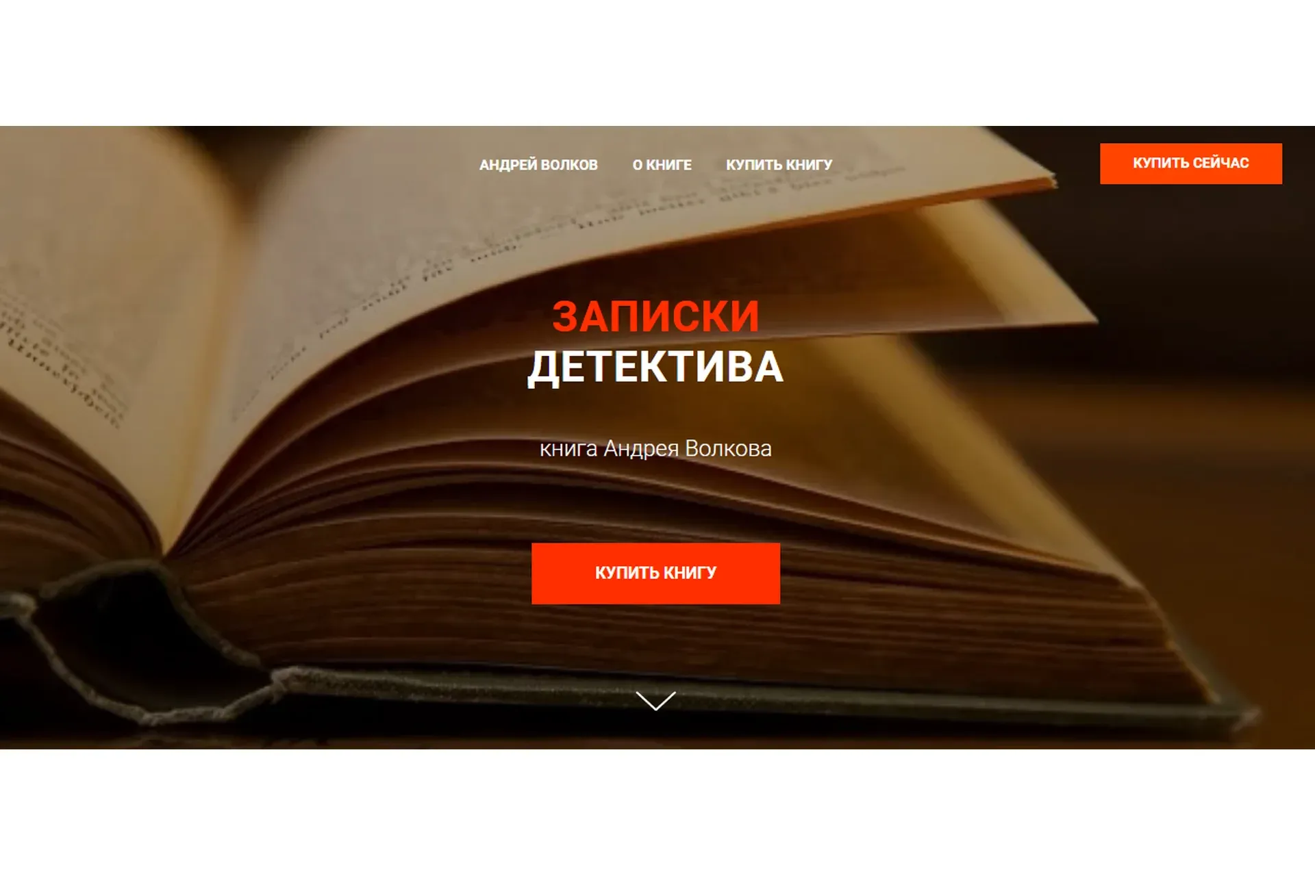 Записки детектива (Андрей Волков)