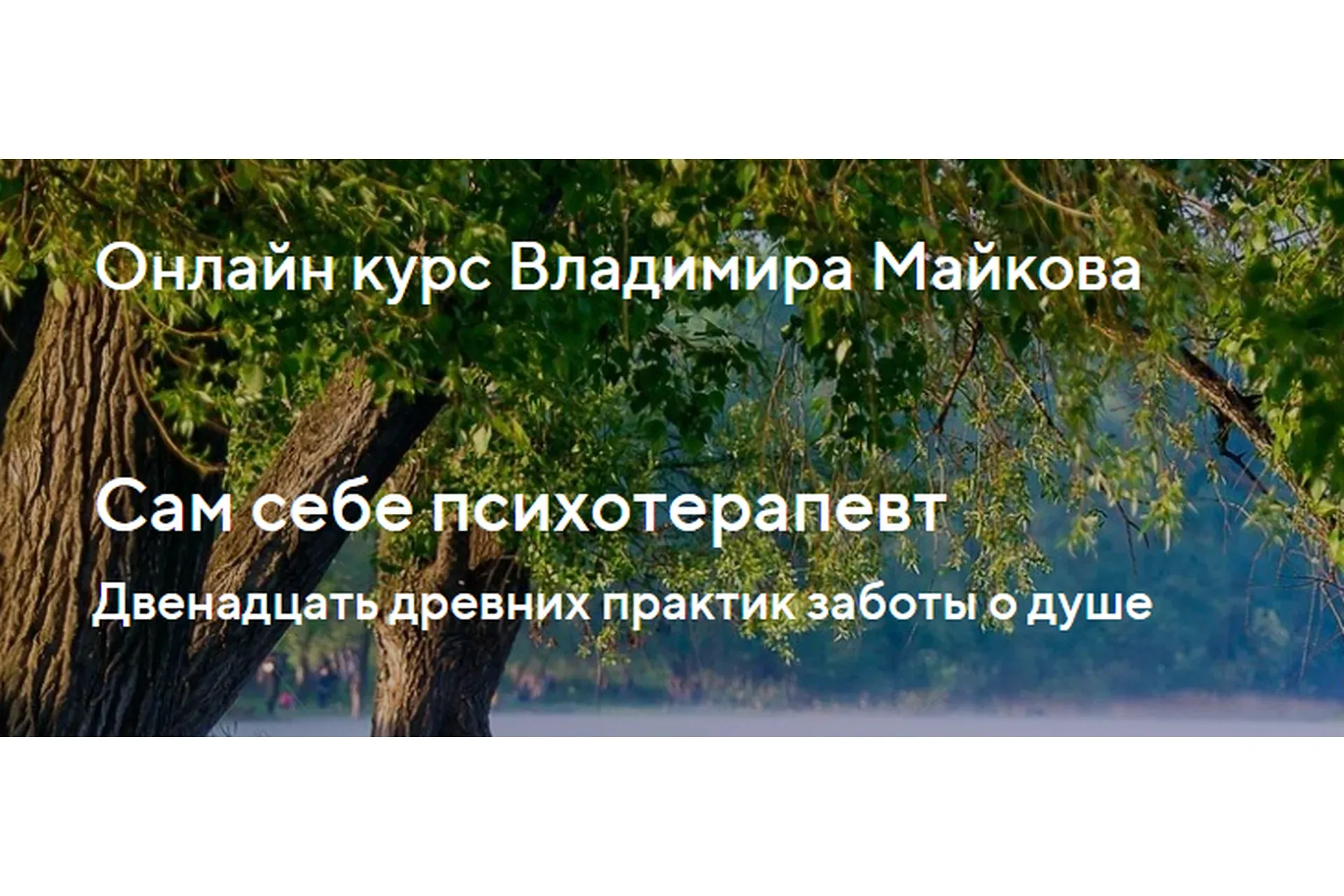 Сам себе психотерапевт. Двенадцать древних практик заботы о душе. Тариф Базовый  (Владимир Майков)