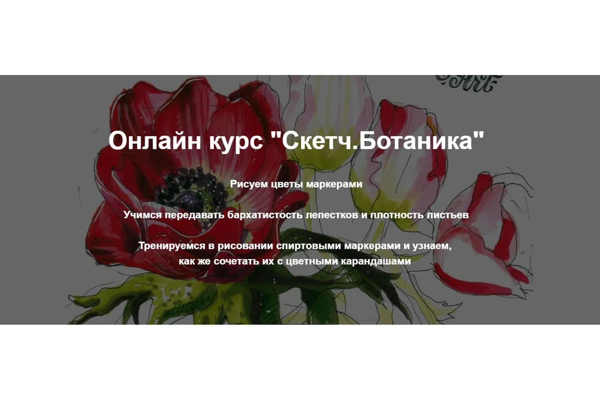 [janelipartschool] Скетч. Ботаника (Евгения Липатова)