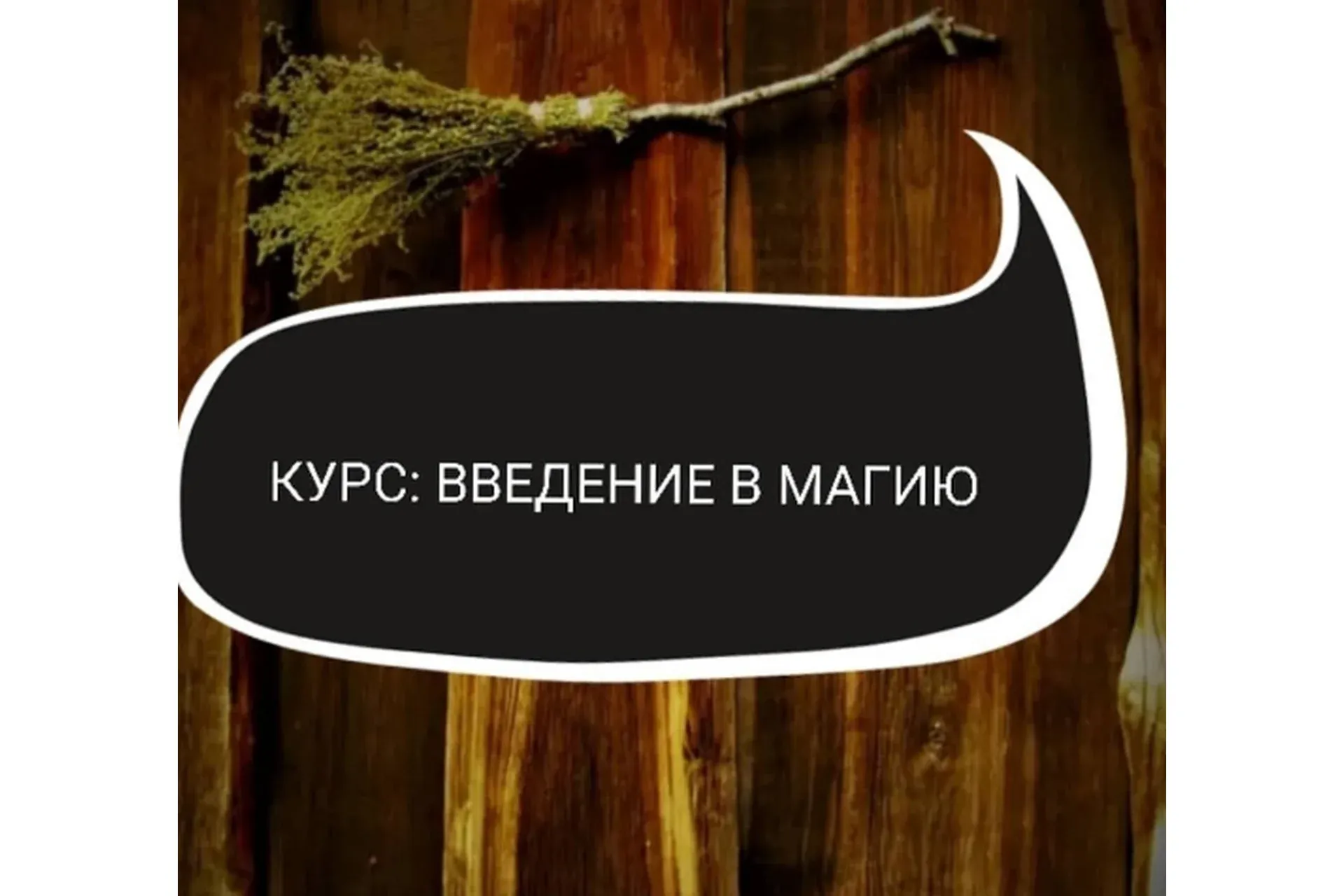 Введение в магию (Ольга Ракита)