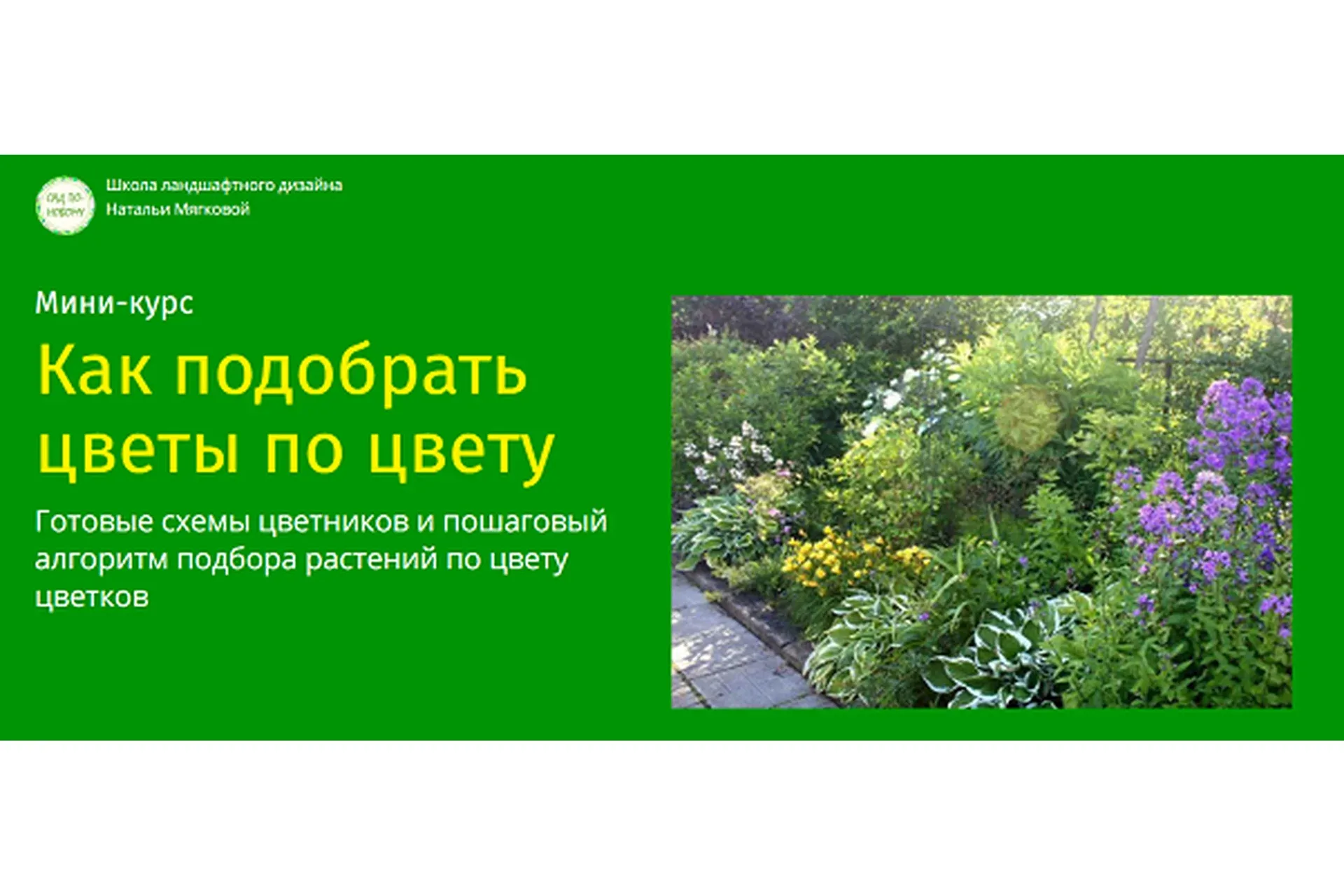 Как подобрать цветы по цвету (Наталья Мягкова)
