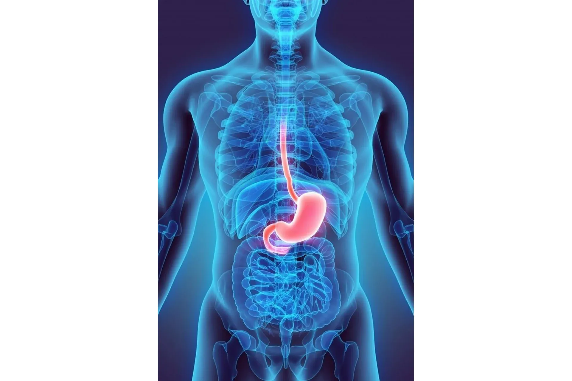 [Sigh Energy] Stomach Powerful Plus +11x. Желудок