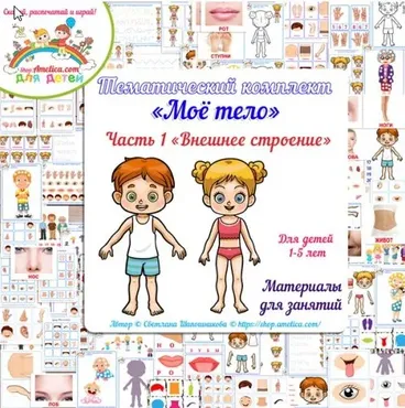 [shop.amelica] Тематический комплект «Тело человека. Часть 1. Внешнее строение» (Светлана Шапошникова)