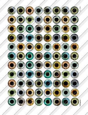Реалистичные глазки для кукол и игрушек от 8 до 20 мм в формате JPG (6DogArtsCollage)