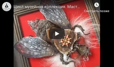 Жук-голиаф Goliathus goliatus. Музейная Коллекция. Экспонат № 2 (Анастасия Голенева)
